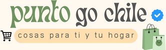Punto Go Chile – Inicio